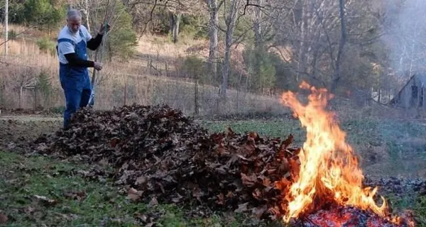Рис. 2. При использовании открытого пламени в месте, где недалеко растут деревья, нужно быть особо внимательным.
