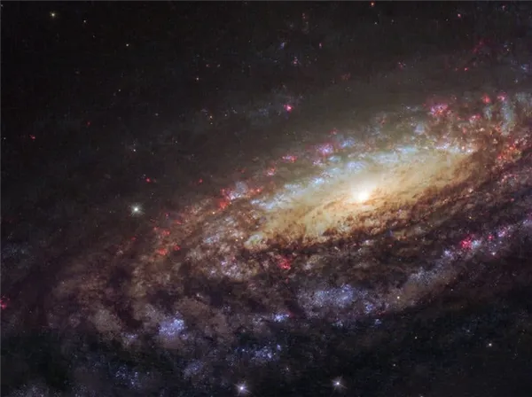 Спиральная галактика NGC 7331 очень похожа на наш Млечный Путь