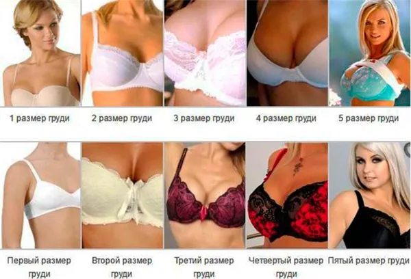 Как правильно определить размер женской груди