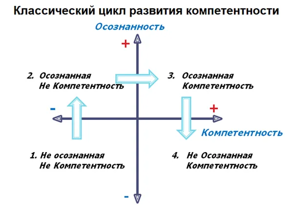 цикл развития
