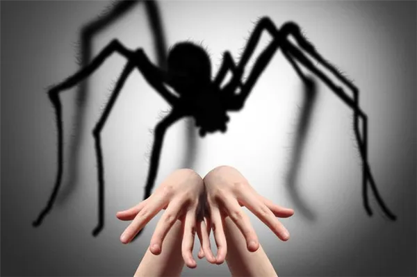 Боязнь пауков: как называется фобия и как ее лечить. 3