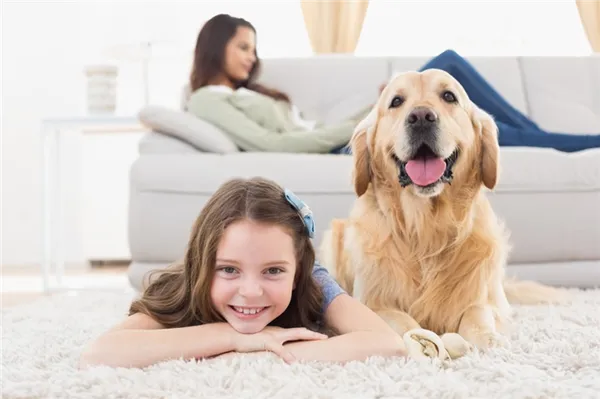 Собаки — немного люди: правила совместной жизни с домашними животными. 6