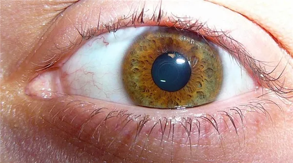 Ореховый цвет глаз