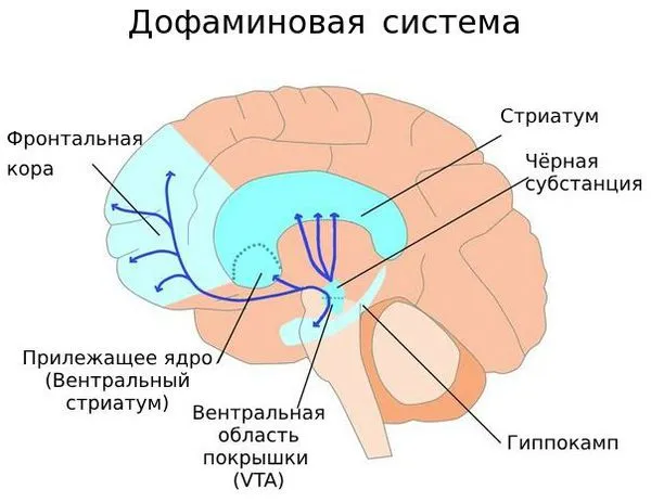 Бредовое расстройство 27