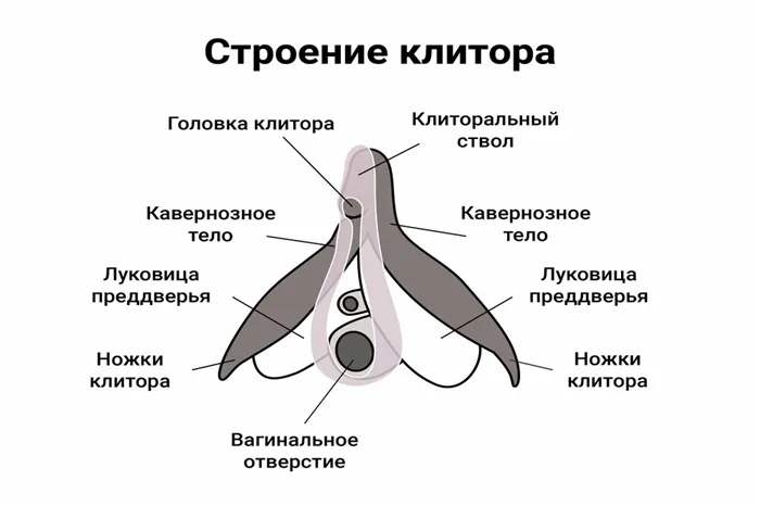 Полюби себя сама. 7 классных лайфхаков для мастурбации 25