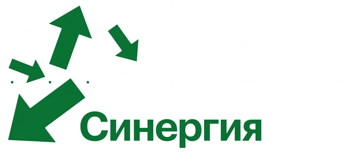 Университет Синергия 11