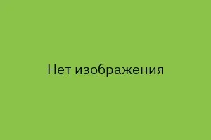 Ещё одна частая причина дачных конфликтов – деревья и кустарники, которые растут рядом с забором