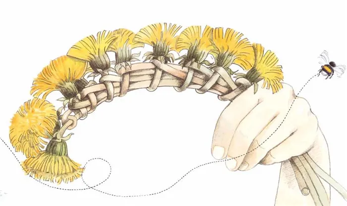 Как плести венок из одуванчиков