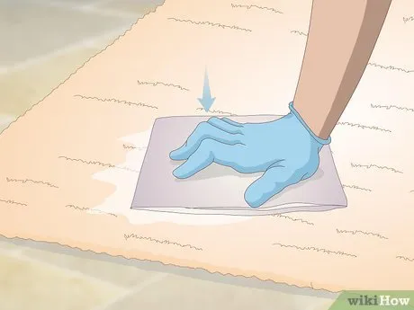 Step 4 Высушите ковер бумажными полотенцами.