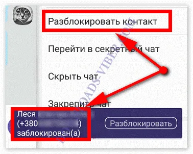 Как заблокировать в Вайбере пользователей и чаты 8