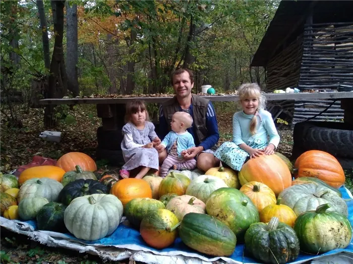 Жизнь в родовом поместье