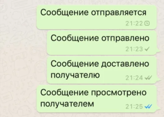 Что означает одна галочка в WhatsApp: все значения