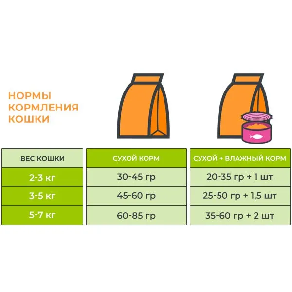 Правила кормления кошки влажным кормом 2