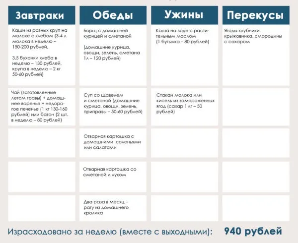 Как прожить на пенсию в столице 3