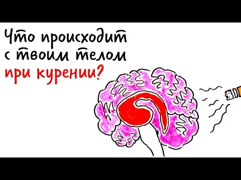 Что происходит с ТВОИМ ТЕЛОМ при курении? — Научпок